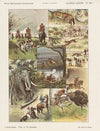 Allerlei jachten (1875-1919)