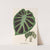 Alocasia Jenningsii by Charles Antoine Lemaire