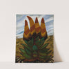 Aloes (ca. 1935-1938) by Josephine Joy