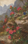 Alpenblumen
