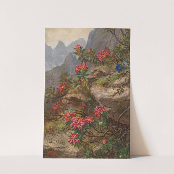Alpenblumen by Anna Stainer-Knittel