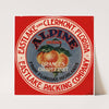 Alpine Brand Oranges and Grapefruits Label (1930-1950)