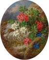 Alpine Flowers