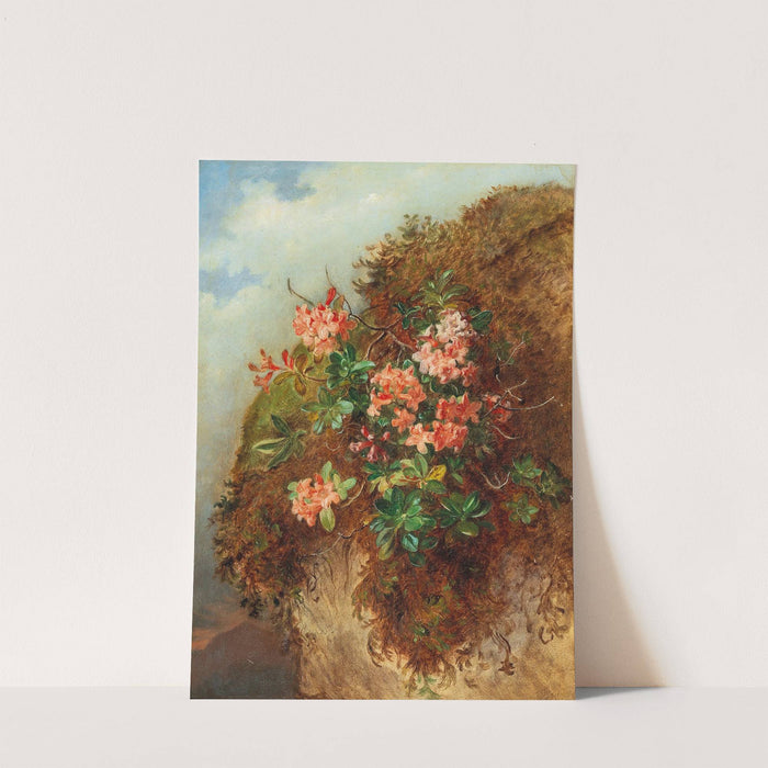 Alpine Rose on a Mountain Slope by Andreas Lach