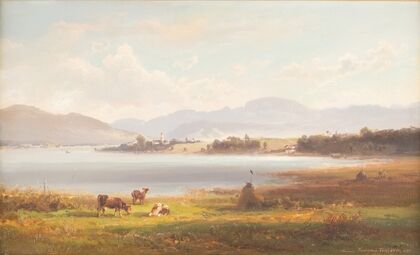 Alpine upland