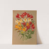 Alstroemeria Chilensis, Varr. (1872-1881) by Arentina Hendrica Arendsen