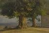 Alte Bäume und Ausblick auf weite Ebene
