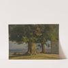 Alte Bäume und Ausblick auf weite Ebene by Jakob Becker