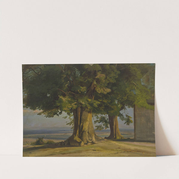 Alte Bäume und Ausblick auf weite Ebene by Jakob Becker