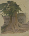 Alter Baum an einem Mauerstück