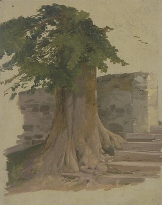 Alter Baum an einem Mauerstück
