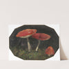 Amanitas by Gustav Macoun