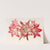 Amaryllis Belladonna by Charles Antoine Lemaire