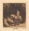 Amazone (1889)