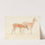 American Deer by Anthony Devis