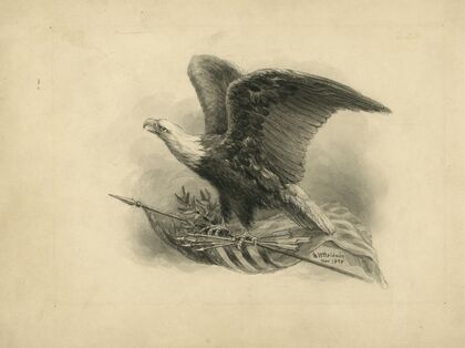American eagle
