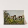 American Field Sports. &#039;On a Point.&#039; by Charles Parsons