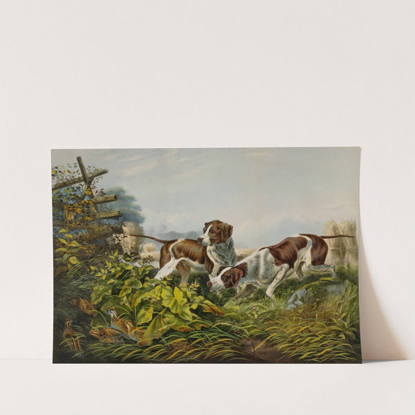 American Field Sports. &#039;On a Point.&#039; by Charles Parsons