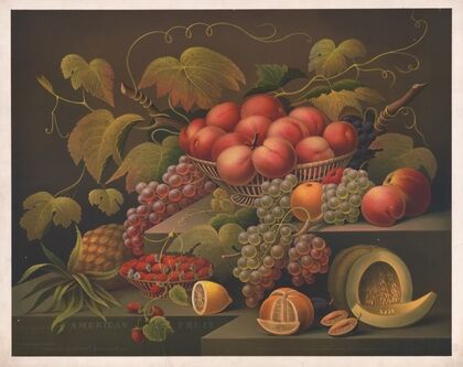American fruit (1867)