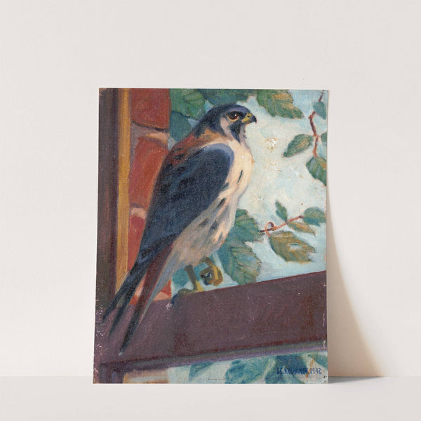 American Kestrel (1942) by James C. Kulhanek