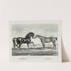 American trotting stud; Mambino Pilot, Flora Temple (1866) by Currier & Ives.