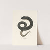 Amphiuma means by John Edwards Holbrook
