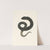 Amphiuma means by John Edwards Holbrook