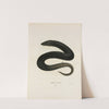 Amphiuma tridactylum by John Edwards Holbrook