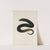 Amphiuma tridactylum by John Edwards Holbrook