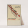 Ampho-vaccin intestinal (1910-1950) by A. D. Ronchèse