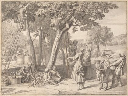 An Apple Harvest