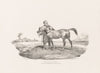 An Arabian Horse (1821)