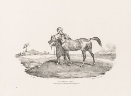 An Arabian Horse (1821)