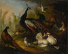 An assembly of birds in a parkland setting, including a Peacock, hens and a duck