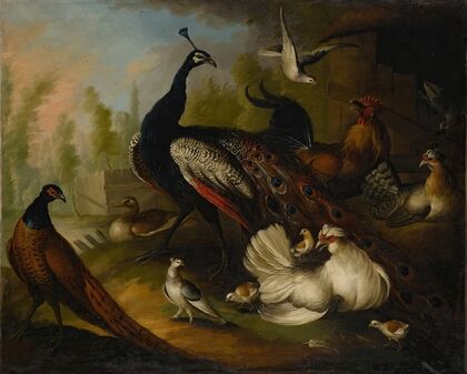 An assembly of birds in a parkland setting, including a Peacock, hens and a duck
