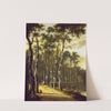 An Avenue in a Wood by Jan Hackaert