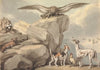 An Eagle Perched on a Rock; Lion, Fox, Two Hounds and a Rooster