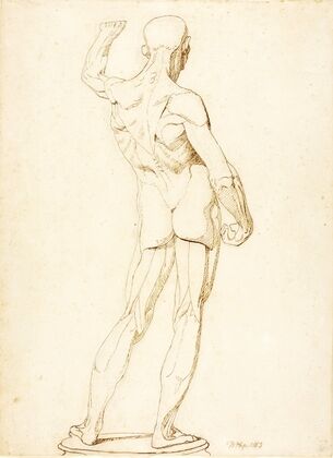 An Ecorche, Rear View (1853)