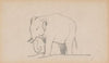 An Elephant, facing left