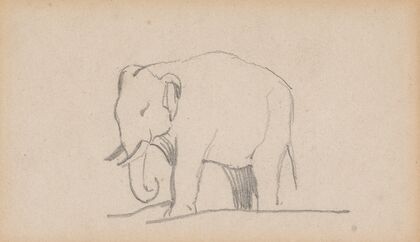 An Elephant, facing left