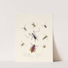 An epitome of the natural history of the insects of New Holland, New Zealand Pl.04 by Edward Donovan