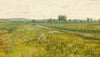 An extensive meadow landscape with geese by a stream