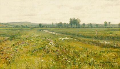 An extensive meadow landscape with geese by a stream
