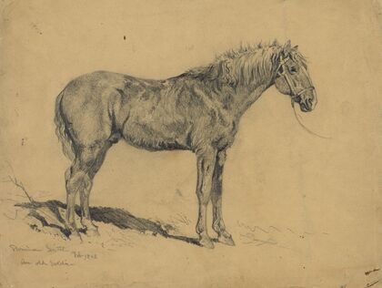 An old soldier