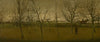 An Orchard in Winter