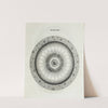 An original theory or new hypothesis of the universe, Plate XXV (1750) by Thomas Wright
