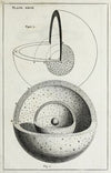 An original theory or new hypothesis of the universe, Plate XXVII