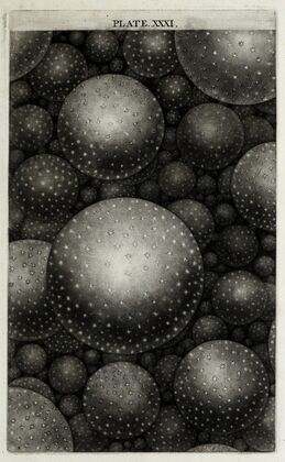 An original theory or new hypothesis of the universe, Plate XXXI (1750)