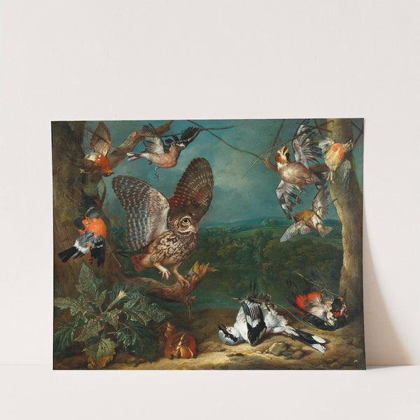 An owl and other birds by Philipp Ferdinand de Hamilton