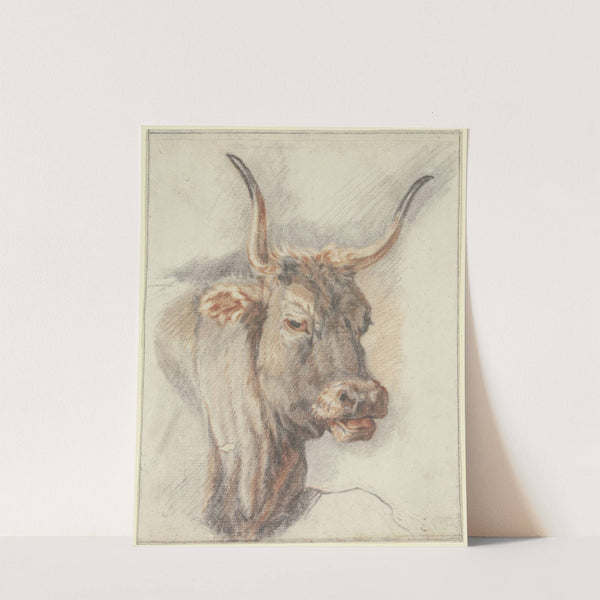 An ox head by Paulus Potter